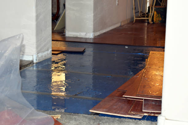 Professional Flood Cleanup technician working in Saugatuck, CT